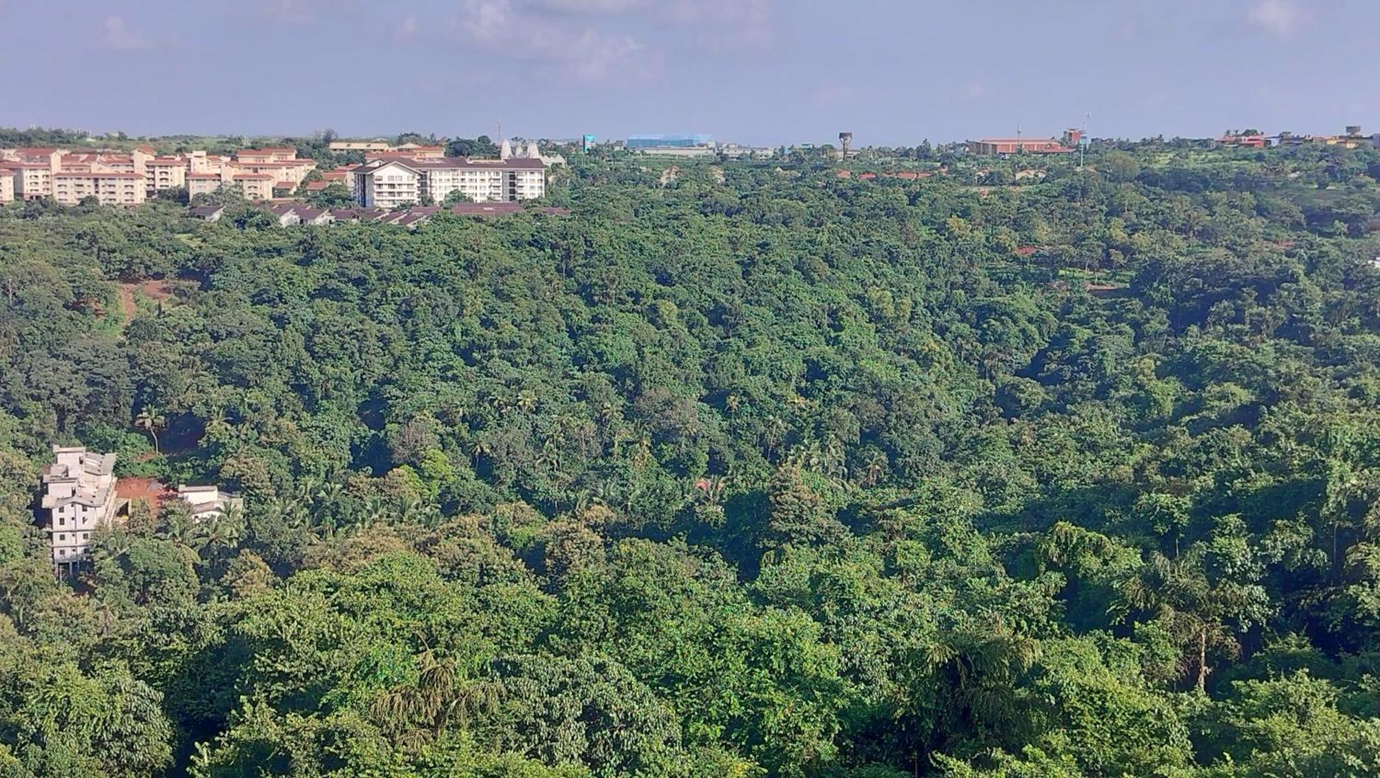 Good Stay 2Bhk Pool Apartment 10 Mins From Dabolim Airport Goa 102 Consua Zewnętrze zdjęcie